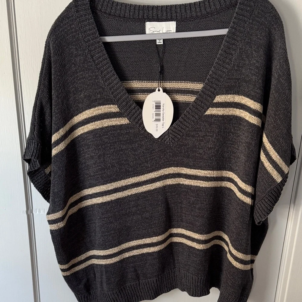 V-Neck Sweater Vest - Navy and Tan Stripes - Picture 3 of 4